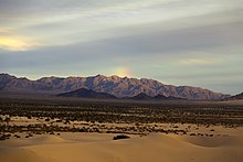 Cadiz Dunes Wilderness