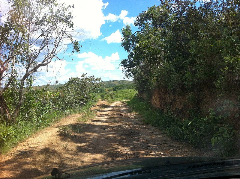 File:Caminho para o Rio Maranhão - panoramio.jpg