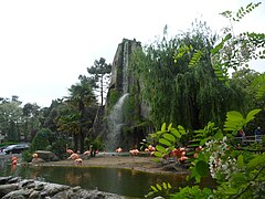 Le Zoo de la Palmyre aux Mathes.