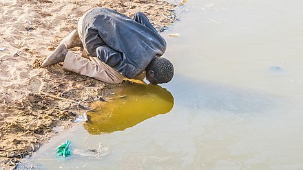 Man drinking stagnant water in Chad.