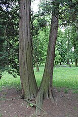 Third May Park in Częstochowa, Poland