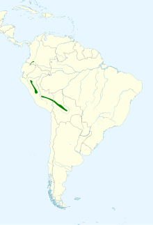 Chlorothraupis frenata map.svg