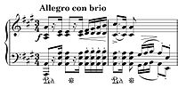 Miniatura Polonezy op. 40 (Chopin)