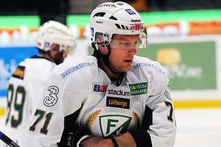 <span class="mw-page-title-main">Christian Berglund</span> Swedish ice hockey player (born 1980)