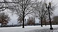 Tom McCall Waterfront Park (2017)