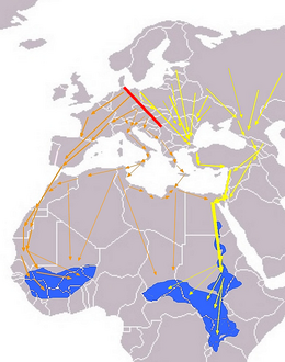 Rutes migratories europees/africanes. Llinia colorada: Llende de migraciónr Llinies naranxes: Rutes occidentales Llinies marielles: Rutes orientales Azul: Árees d'ivernada