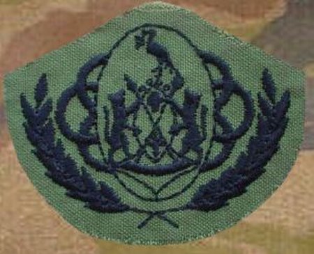 ไฟล์:Ciskei_Defence_Force_Warrant_Officer_Class_1_badge.jpg