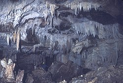 Formations in Coffee River Cave Coffee River Cave.jpg