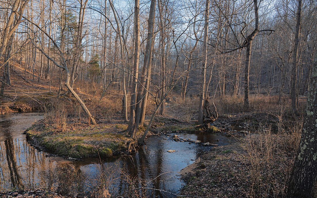 Crabbs Branch