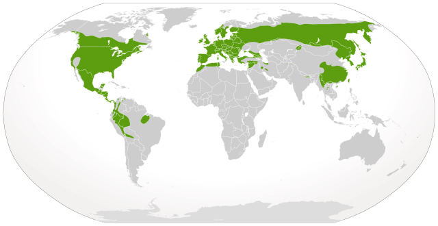 Distribución nativa (en verde)