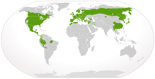 File:Cypron-Range Caudata.svg