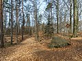 Bei Hospitalhütte Dahlen