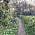 A forest path near estate Dickninge in de Wijk, the Netherlands