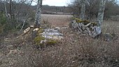 Dolmen de Mas de Tourelle