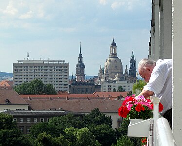 Dresden - flowered skyline