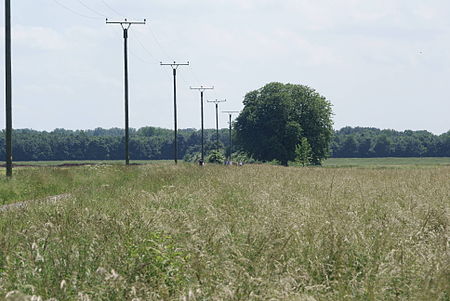 Duesseldorf himmelgeister Kastanie