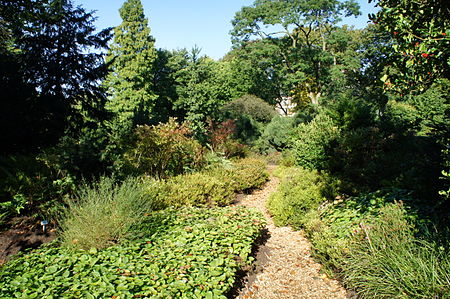 Duisburg Duissern Botanischer Garten