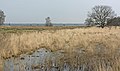 Dwingelderveld, le panorama