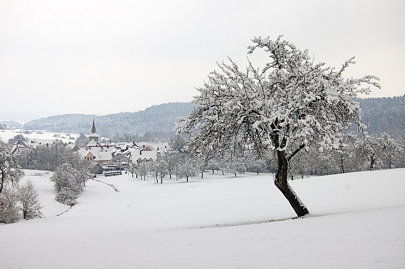 File:Egenhausen 20080323 SK 0002.jpg