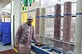Elite Factory in Nazareth Illit Chewing gum production IMG 2605.JPG