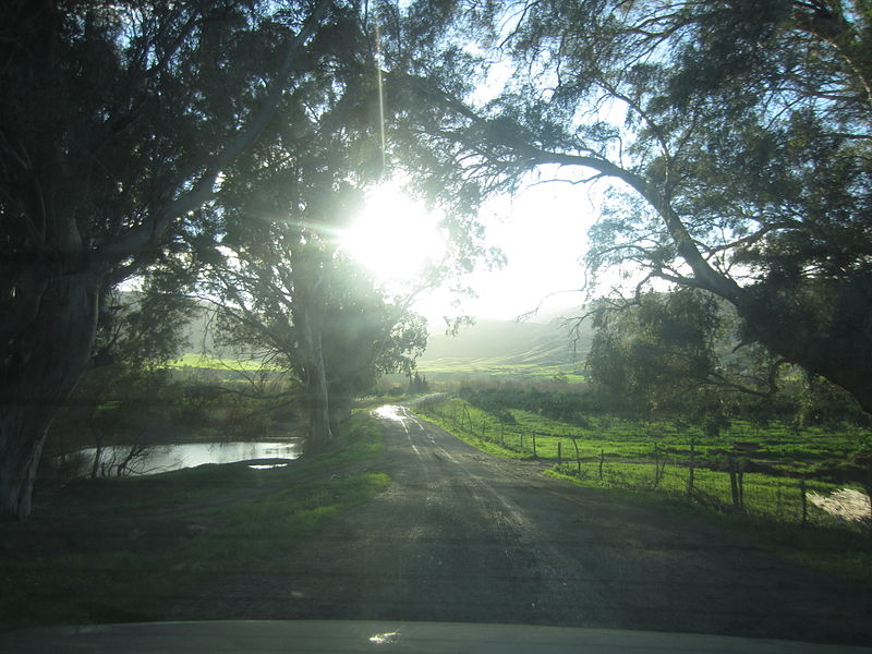 File:En route vers la prairie.JPG