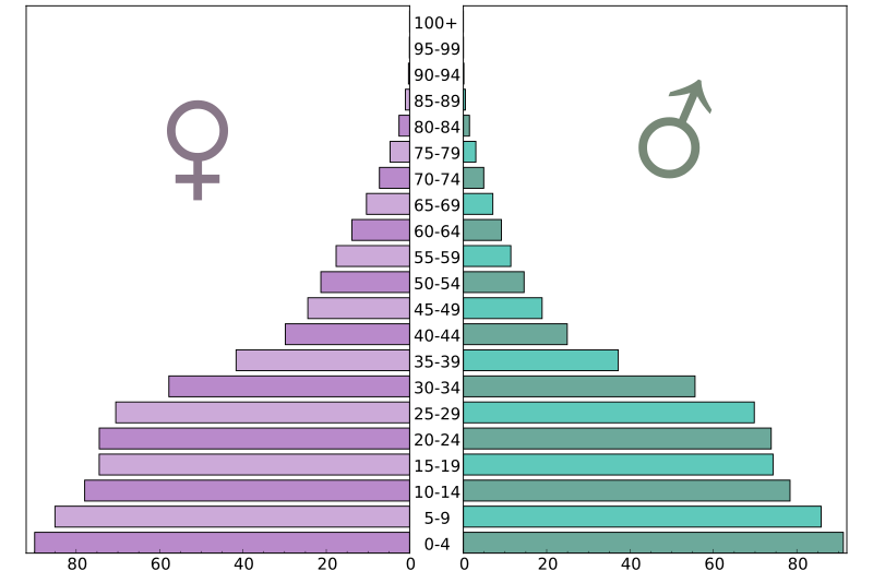 File:Eswatini-population-pyramid-2017.svg