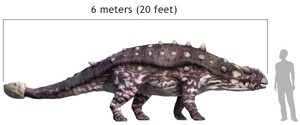 Euplocephalus size comparison with human.png