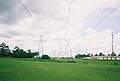 "Indian Man" power lines on SR 50 south from Twin Dolphin Boulevard.