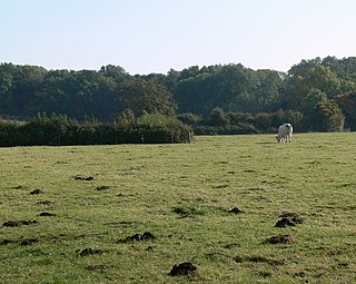 Debdale Meadow, Muston