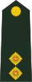 Teniente (Regimiento de infantería de Fiji)