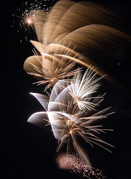 File:Fireworks 2007 (745039460).jpg