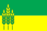 Flag of Ivanivka Raion, Kherson Oblast.svg