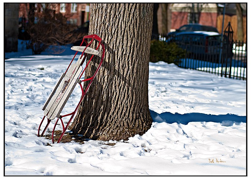 File:Flexible Flyer on Tree.jpg