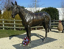 Best Mate, a triple Cheltenham Gold Cup winner, which died on the course in 2005