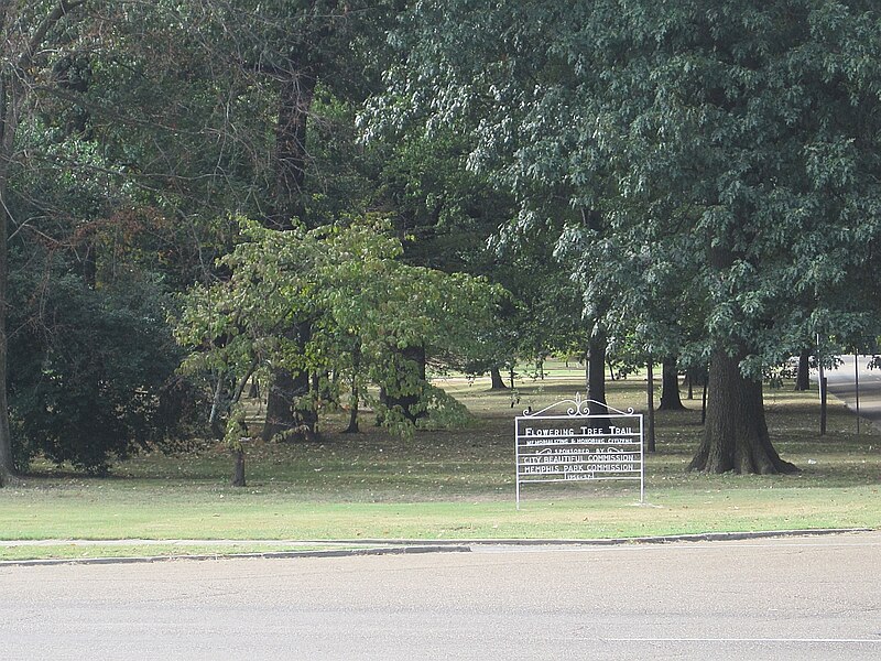 File:Flowering Tree Trail at E Parkway Memphis TN 03.jpg