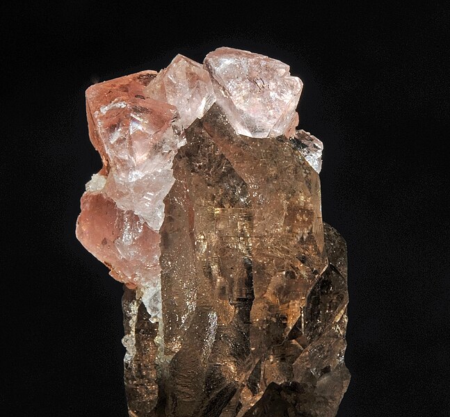 File:Fluorine rose sur quartz fumé (France) 2.JPG