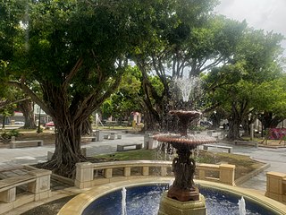 <span class="mw-page-title-main">Humacao barrio-pueblo</span> Historical and administrative center (seat) of Humacao, Puerto Rico