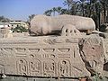 Fragments d'un colosse de Ramsès II devant le pylône de l'ouest du temple de Ptah de Memphis / Rest of a Ramses II colossus in front of Ptah's temple west pylon at Memphis