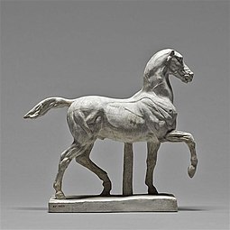 Cheval écorché, Paris, musée du Louvre.