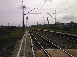 Station Górki Szczukowskie