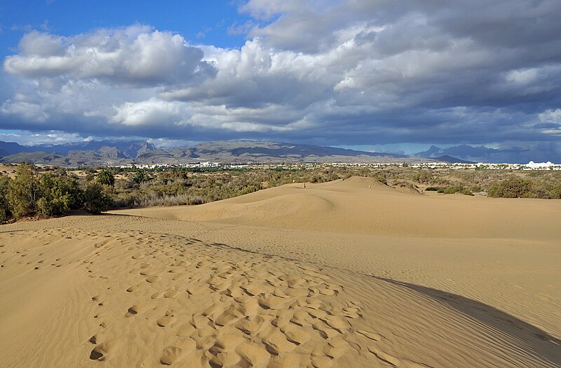 File:GC Dunas de Maspalomas R05.jpg