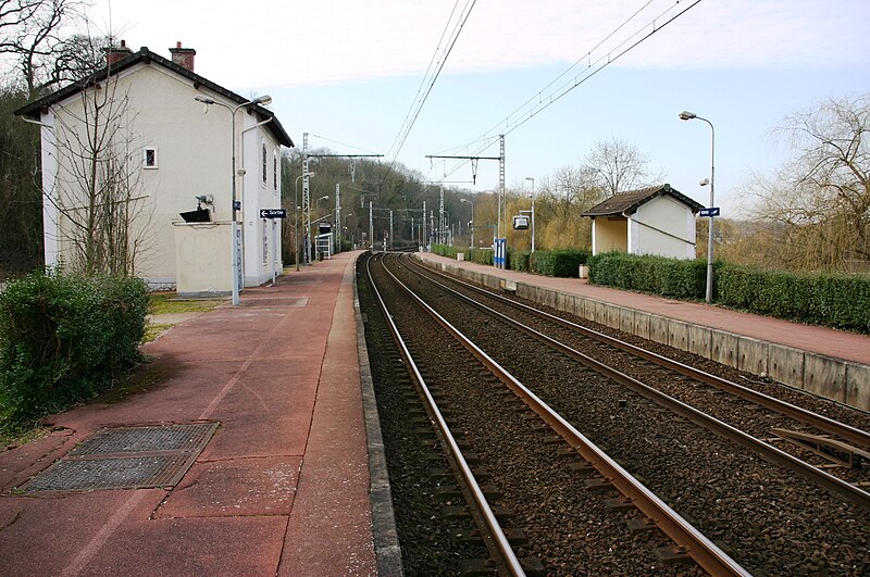 File:Gare Vosves IMG 1458.JPG