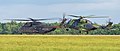 * Nomination German Army 78+31 NHIndustries NH90 TTH and 84+99 Sikorsky CH-53G Super Stallion at ILA Berlin 2016. --Julian Herzog 13:16, 26 February 2017 (UTC) * Promotion Good quality. --Peulle 14:09, 26 February 2017 (UTC)