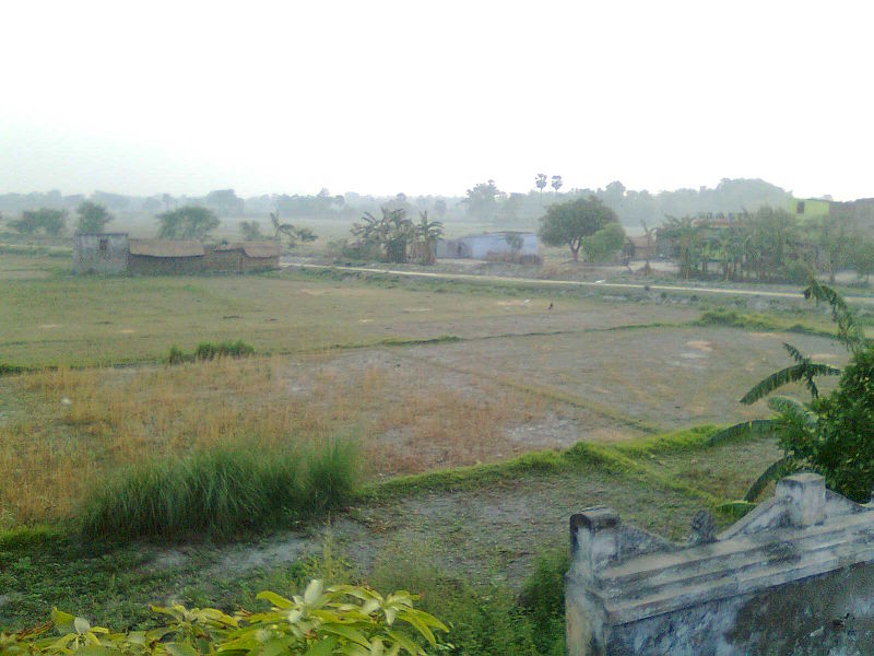 File:Ghoghiya Village, Mashrakh, Saran, Bihar.jpg