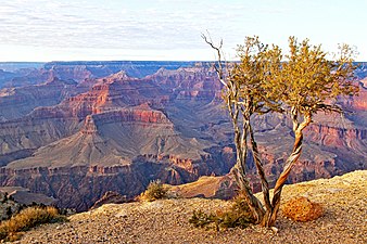 Grand Canyon National Park in Arizona, United States