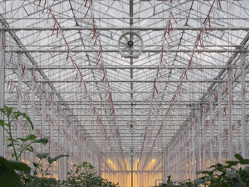 File:Greenhouse ventilation.JPG