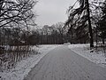 Großer Garten, Dresden in winter (1082).jpg