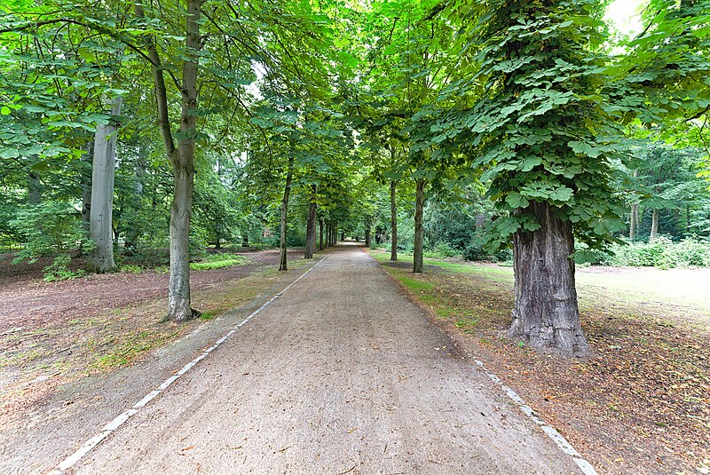 File:Großer Tiergarten Berlin northern part 2023-06-16 17.jpg