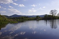 Goldfabianteich mit Wiese