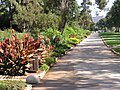 Hebrew University of Jerusalem, Givat Ram campus